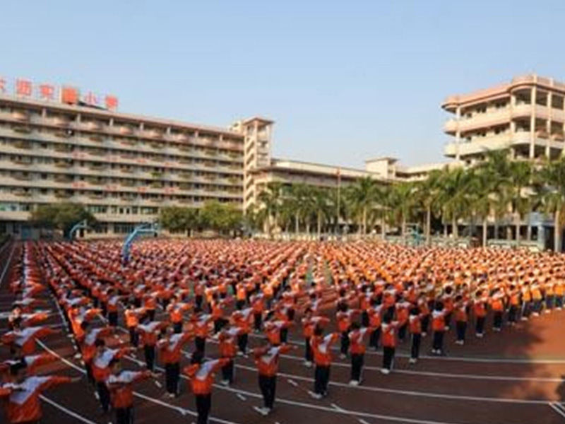 南海大沥实验小学